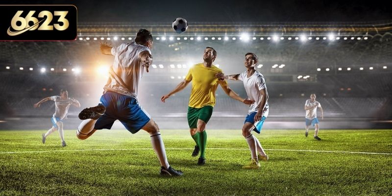 Đôi nét sảnh cược thể thao SBOBET 6623