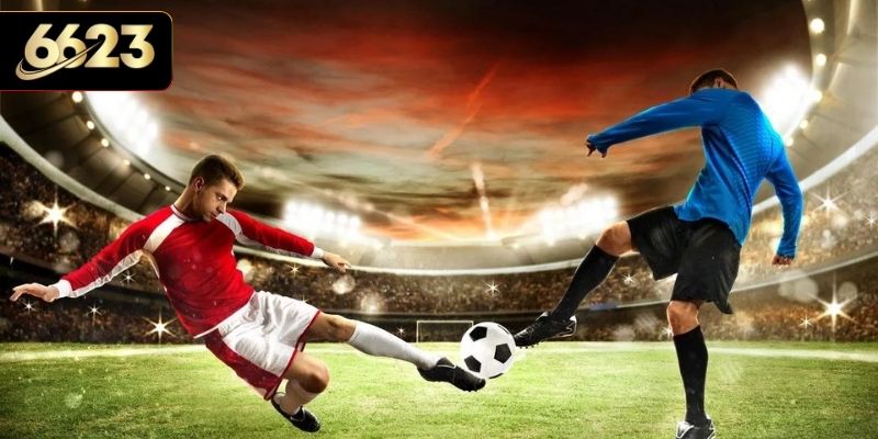 Khái quát thông tin sảnh Saba Sports 6623 cuốn hút