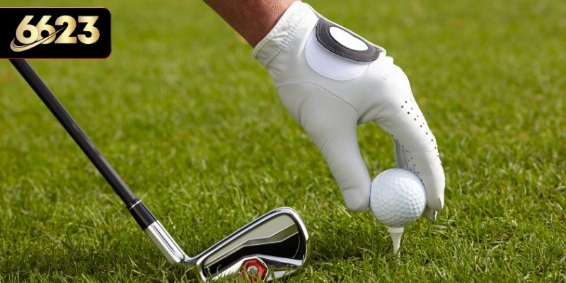 Trải nghiệm Golf với nhiều giải đấu đỉnh cao